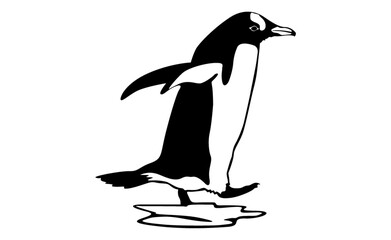 adorable Penguin vector