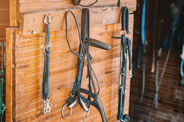 lots of bridles and leather harnesses on the wall of the stable on the farm. Background for the presentation of horse riding equipment