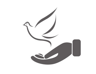 Dove illustration on white background