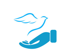 Dove illustration on white background