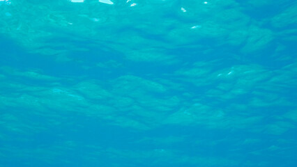 Obraz premium Surface of the sea. Natural background with sun glints on surface of the water. Underwater view. Red sea, Egypt