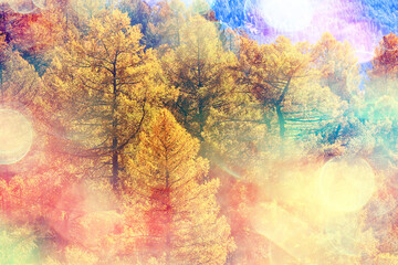 Obraz na płótnie Canvas abstract landscape background autumn sun glare defocus bokeh, view sun background