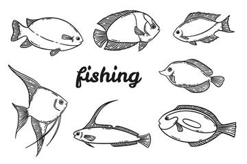 Obraz premium Fish sketch hand drawn set