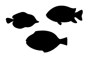 Fish silhouette hand drawn set