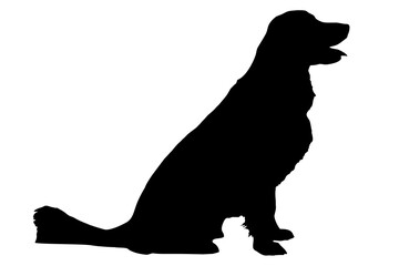 The silhouette of the body is a golden retweiler sitting on the side