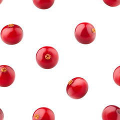 Cranberry isolated on white background, SEAMLESS, PATTERN