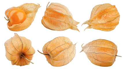 Cape gooseberry, physalis isolated on white background, clipping path, full depth of field