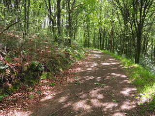 senderos formando la bonita ruta de senderismo de las gándaras, transcurriendo entre   las aguas...