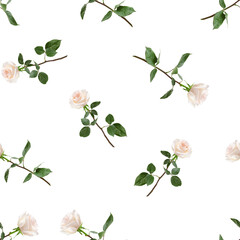 Roses isolated on white background, SEAMLESS, PATTERN