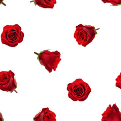 Roses isolated on white background, SEAMLESS, PATTERN