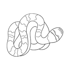 Naklejka premium Venomous snake curled up. Vector illustration of a reptile. Reptile in hand-drawn monochrome linear style. 