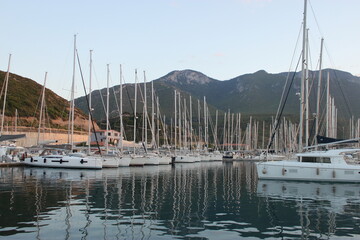 Sailboats waiting to sail at the marina