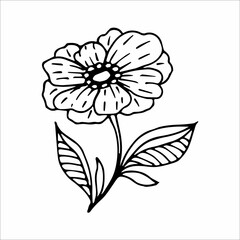 Hand drawn flower single doodle element