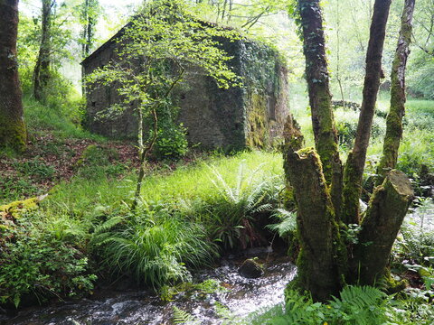 restos de un antiguo molino de cereal de maquia, donde el molinero cobraba una parte del cereal, arquitectura popular ubicada en los m&aacute;rgenes de los r&iacute;os, mezonzo, la coru&ntilde;a, galicia, espa&ntilde;a, europa