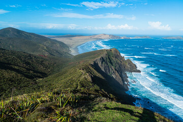 ニュージーランド　ケープ・レインガの灯台に向かう道から見えるテウェラヒビーチと崖