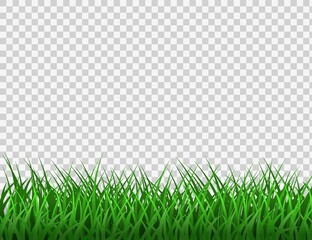 Green grass. Spring eco background. Grass border vector clipart.