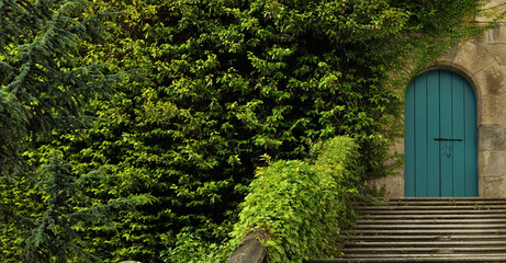 Porta de madeira verde antiga numa parede em pedra no topo de uma escadaria com plantas trepadeiras...