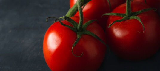 Banner of red ripe tomatoes on dark background. Fresh tomatoes dark scene with copy space.