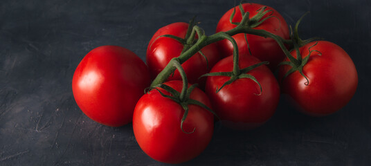 Banner of red ripe tomatoes on dark background. Fresh tomatoes dark scene with copy space.
