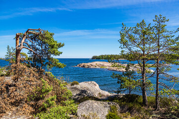 Ostseeküste mit Felsen und Bäumen auf der Insel Hasselö in Schweden