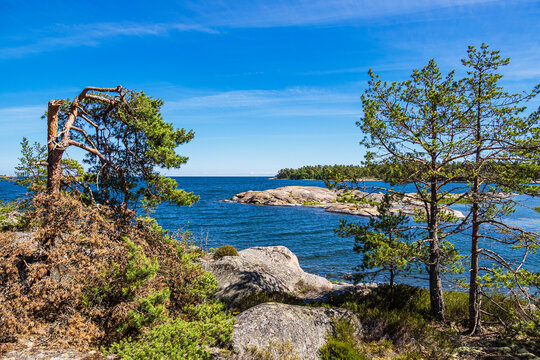 Ostseek&uuml;ste mit Felsen und B&auml;umen auf der Insel Hassel&ouml; in Schweden