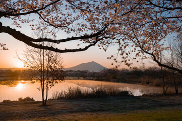 茨城　筑波山と桜