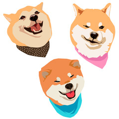 Obraz premium puppy funny dogs Shiba inu