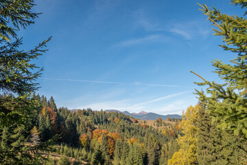 Beautiful mountain autumn landscape with colorful forest