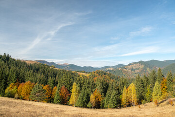 Fototapeta na wymiar Beautiful mountain autumn landscape with colorful forest