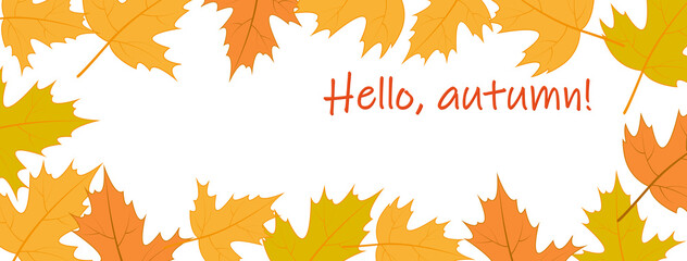 Background, banner "Hello, autumn!" with maple leaves on a white background