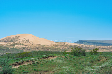Fototapeta na wymiar semi-arid landscape in the vicinity of the Sarykum sand dune