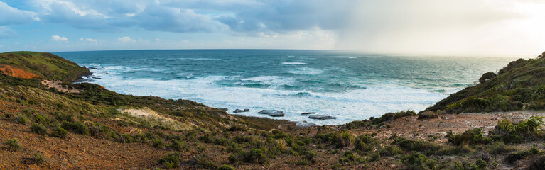 ニュージーランド　ノースランド地方のオマペレの保護公園から見えるタスマン海