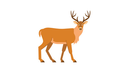 The white-tailed deer (Odocoileus virginianus) in side angle view, american wild animal flat style vector wildlife illustration isolated on white background
