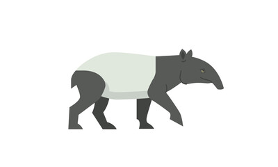 Fototapeta na wymiar Malayan Tapir (Tapirus indicus), asian tapir, Acrocodia indica in side angle view, asian native wild animal isolated flat vector illustration