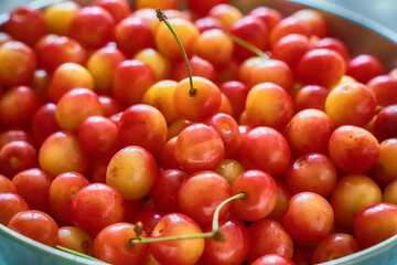 cherry red close-up background harvest fruit, fruit texture