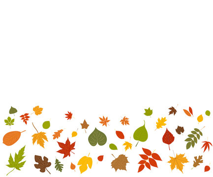 falling autumn leaves on white background