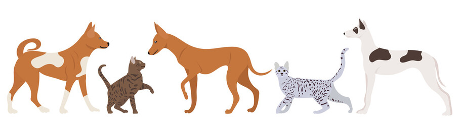 dogs and cats playing flat design set isolated , vector