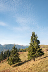 Carpathian mountains in autumn on a beautiful sunny day