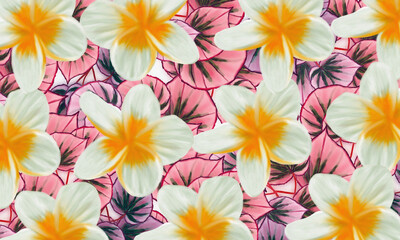 Tropical  green  leaves  and white spa  flower  nature     background