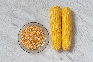 pair of fresh corn cobs and a bowl of dry grains for popcorn on a light background