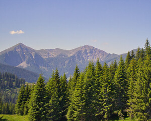 Blick in die Bergeberg, landschaft, himmel, natur, nebel, cloud, hills, horizont, anblick, wallpaper