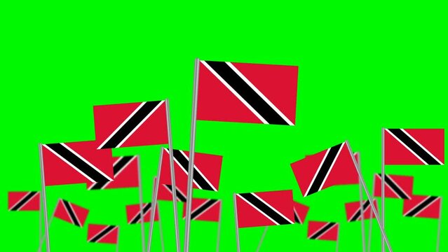hand hold Trinidad and Tobago flag  isolated on green background. focused on front flags animation.