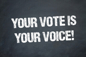 Fototapeta na wymiar Your Vote is your Voice!