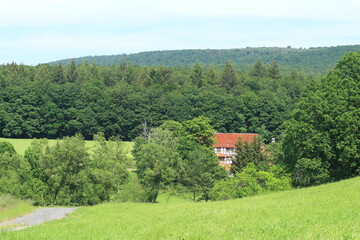 Obraz premium Der Kellerwald bei Dodenhausen