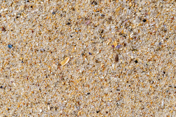 Dry sea sand macro texture. Sand smooth surface on the beach closeup background. Summer vacation, travel and sea holidays design element for greeting card and banner. Copy space.