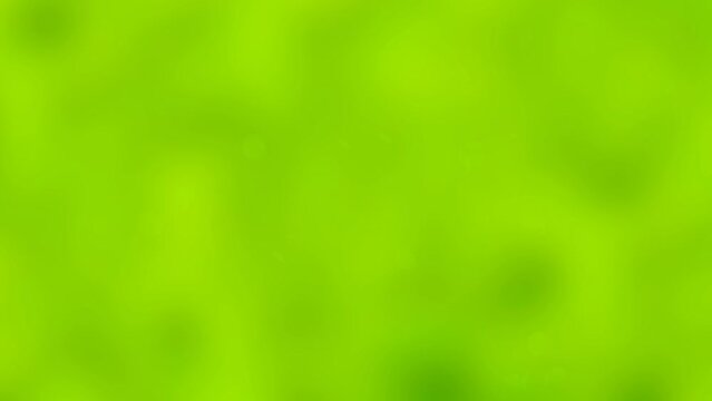 Seamless Loop environment green blur background with floating bright circles.