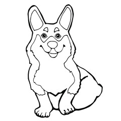 Corgi dog black and white linear vector image for coloring