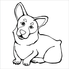 Corgi dog black and white linear vector image for coloring