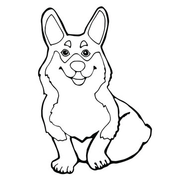 Corgi dog black and white linear vector image for coloring