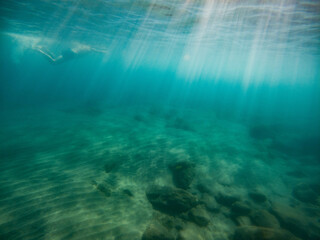 fish swimming in clear blue water underwater photo